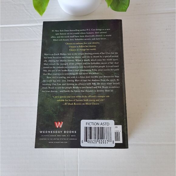 Moon chosen book  - Picture 5 of 6